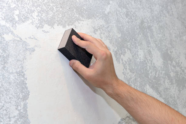 Best Forensic Mold Investigation  in Sherwood Manor, CT