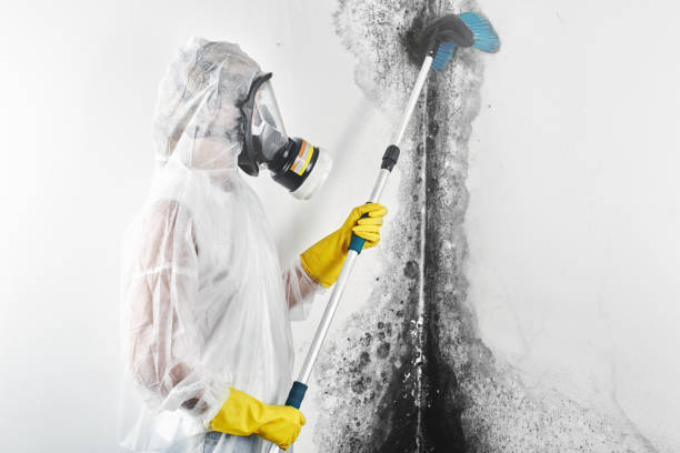 Best Dehumidification Services  in Sherwood Manor, CT