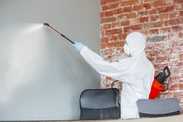 Best Mold Prevention Services  in Sherwood Manor, CT