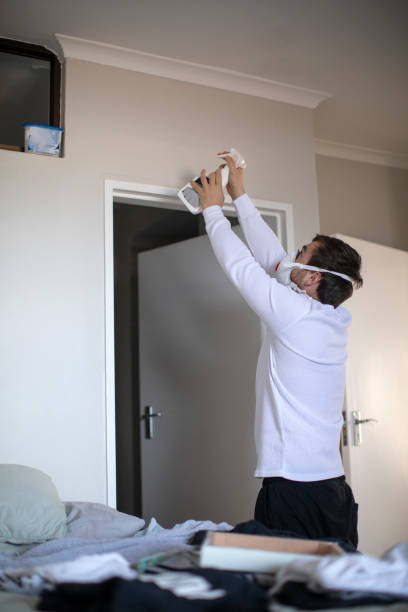 Best Environmental Consulting for Mold Prevention  in Sherwood Manor, CT