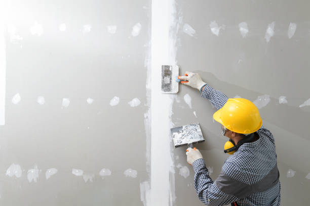 Best Crawl Space Mold Remediation  in Sherwood Manor, CT