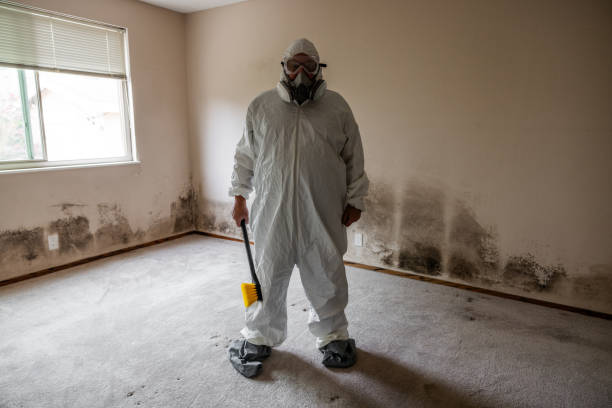 Best Residential Mold Inspection & Testing  in Sherwood Manor, CT